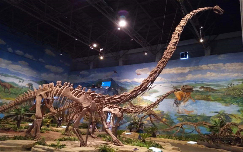 Zigong Dinosaur Museum