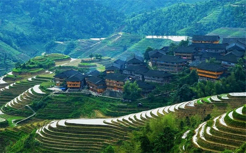 longji Rice Terraces.jpg