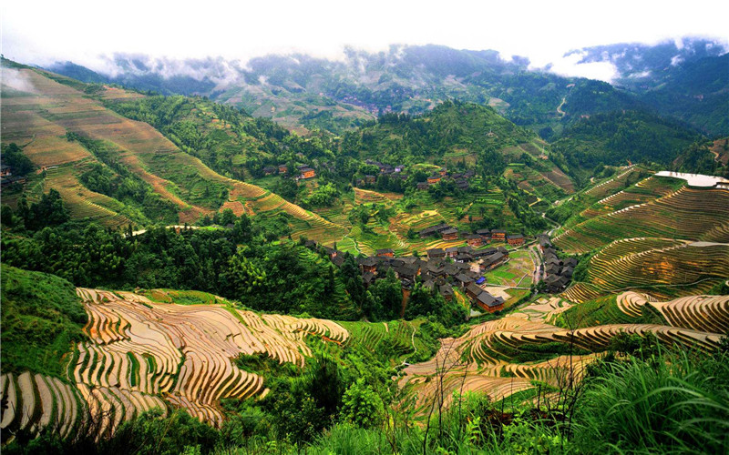 Guilin Longji Rice Terraces.jpg