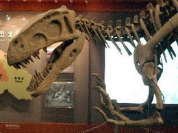 ZIGONG dinosaur museum.jpg
