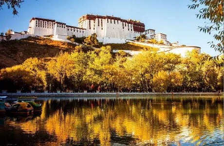 Autumn in Lhasa.jpg