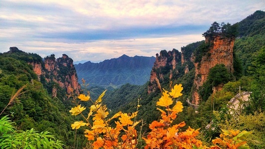 Tianzi Mountain.jpg