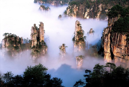 Tianzi Mountain Nature Reserve.jpg