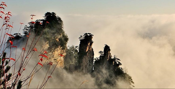 Tianzi Mountain.jpg