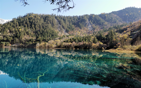 Water,the soul of Jiuzhaigou