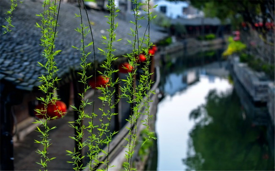 1 Day Luzhi Water Town Tour from Shanghai