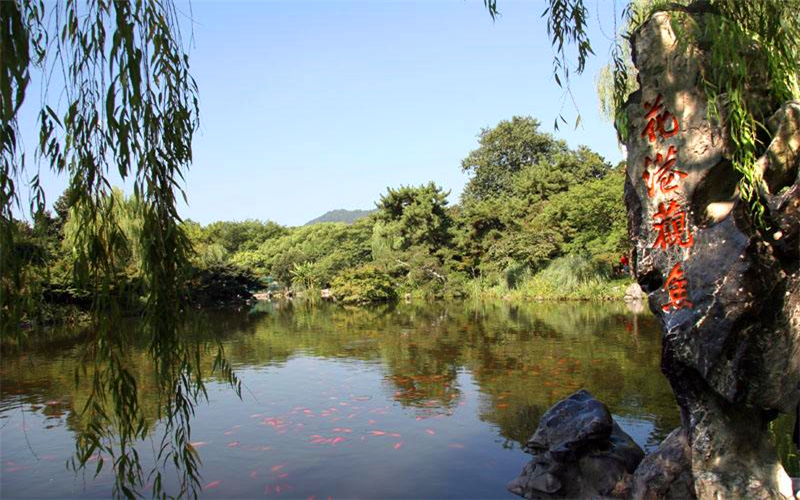 1 Day Hangzhou West Lake Tour from Shanghai
