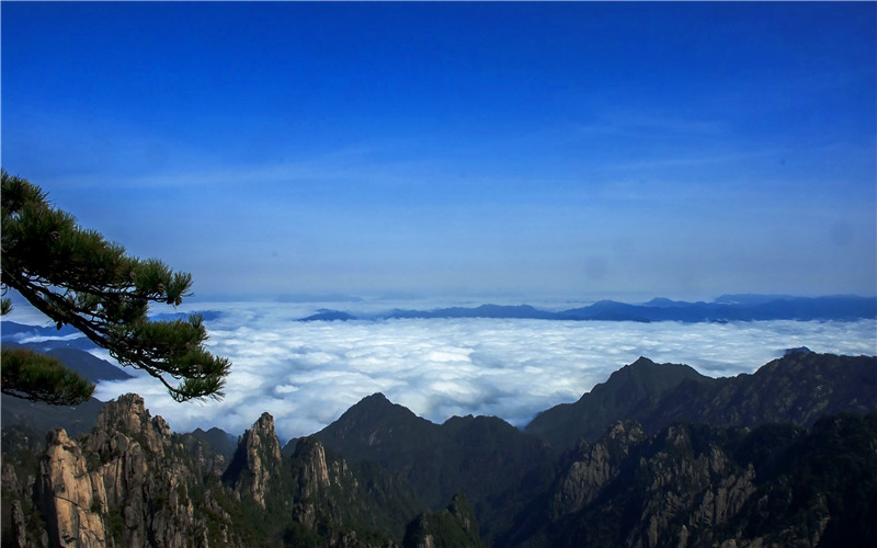 Huangshan Cloud Sea
