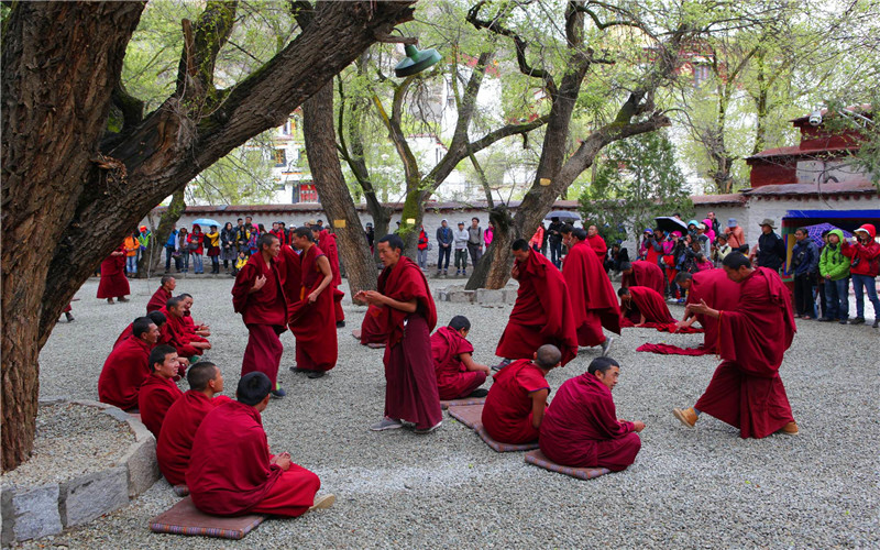 Monk Debating at Sera Monastery