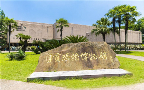 Shunan Bamboo Forersts Zigong Dinosaur Museum Salt Museum Huanglongxi Old Town 4 days tour