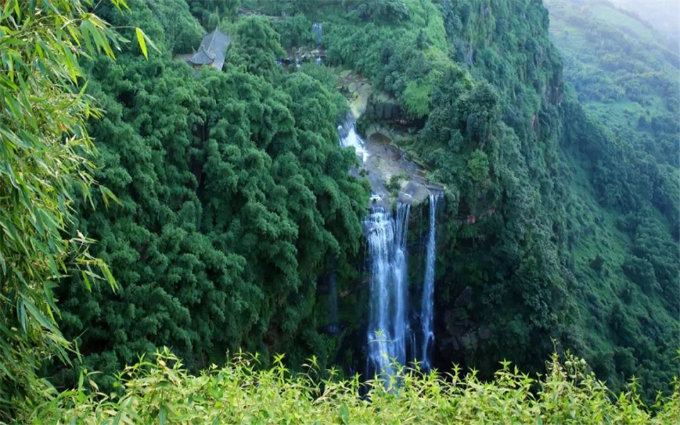 Waterfall in Bamboo Forest