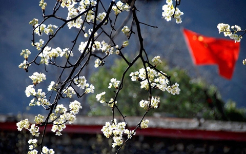 3 Days Spring Jinchuan Pear Flower Sea Tour